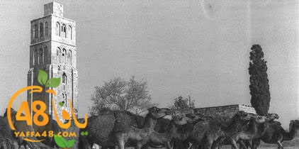 ramla 14948 (13).jpg